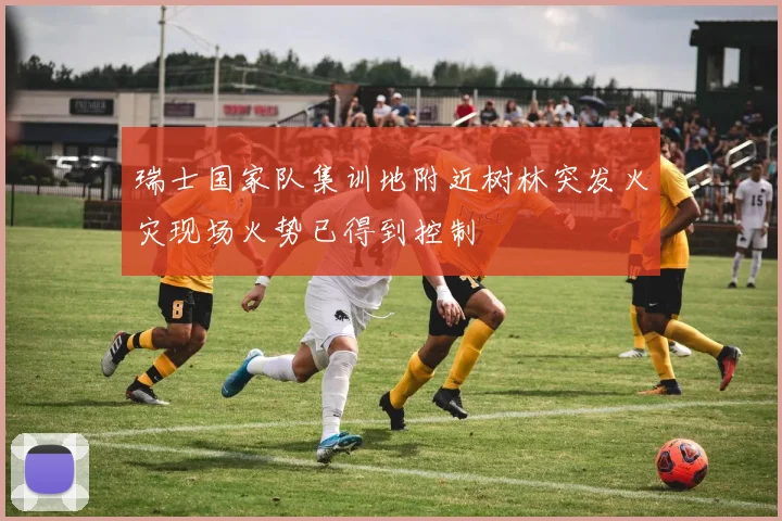 瑞士国家队集训地附近树林突发火灾现场火势已得到控制
