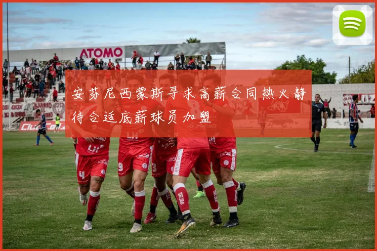 安芬尼西蒙斯寻求高薪合同热火静待合适底薪球员加盟